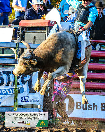 CoomaRodeo2019_2296