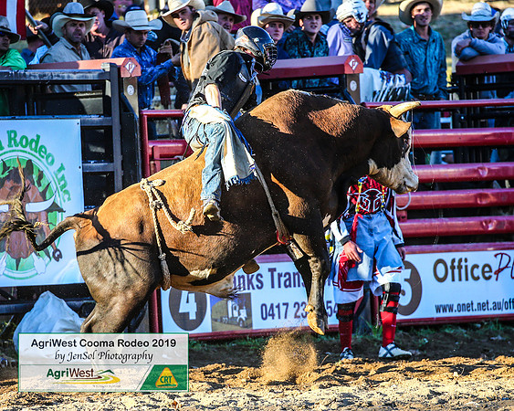 CoomaRodeo2019_1971