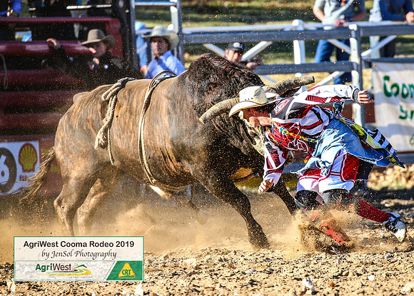 CoomaRodeo2019_0300