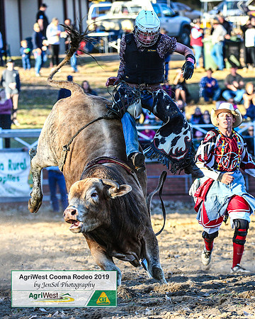 CoomaRodeo2019_2175