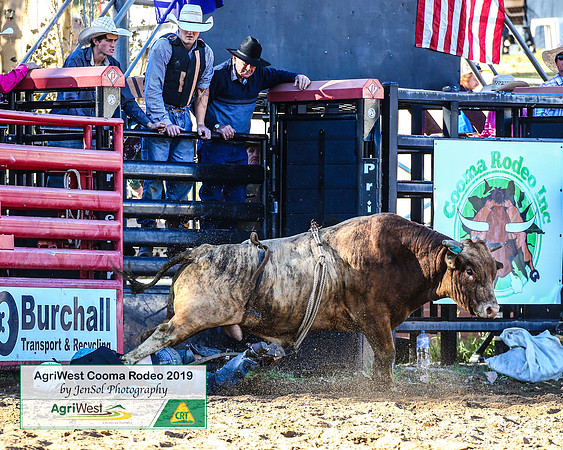 CoomaRodeo2019_0532