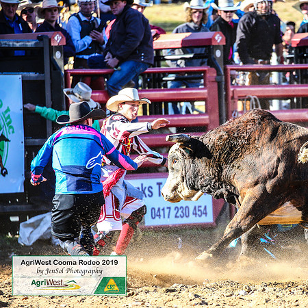 CoomaRodeo2019_0291