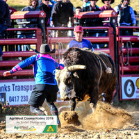 CoomaRodeo2019_0292