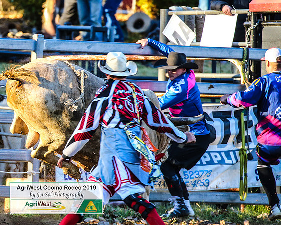 CoomaRodeo2019_2308
