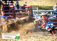 CoomaRodeo2019_0301