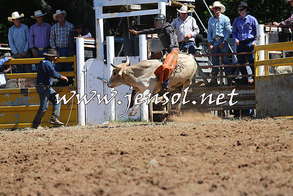 Taralga2015_4543