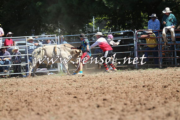 Taralga2015_4804