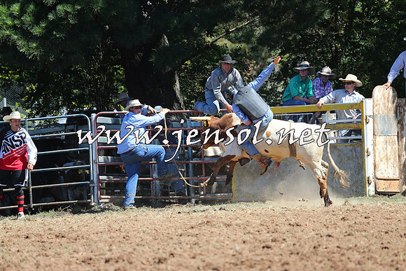 Taralga2015_4600