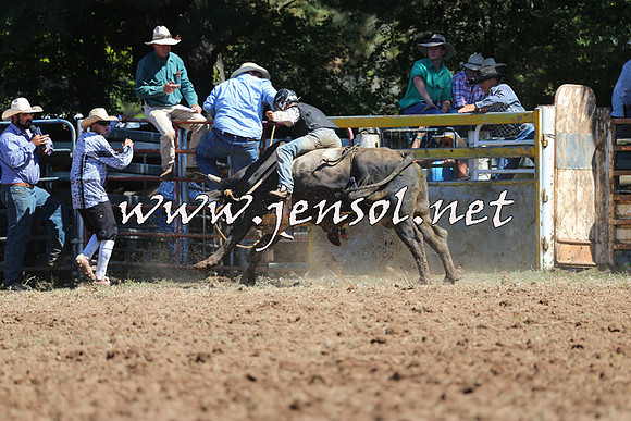 Taralga2015_4689