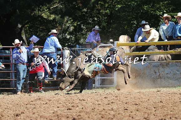 Taralga2015_4675