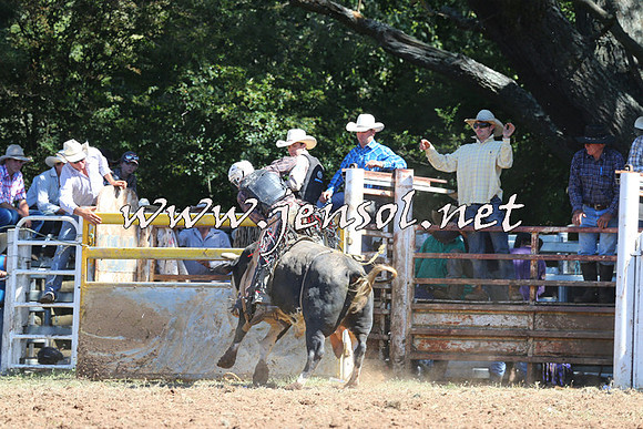 Taralga2015_4805