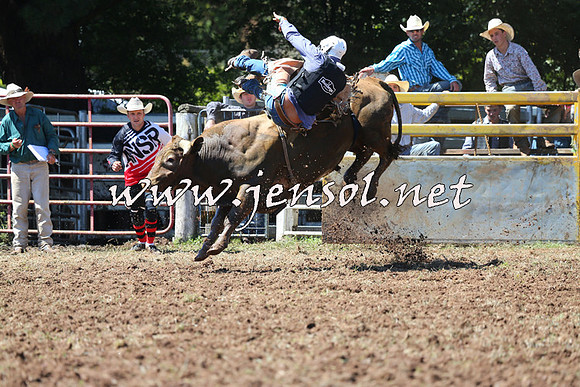 Taralga2015_2051