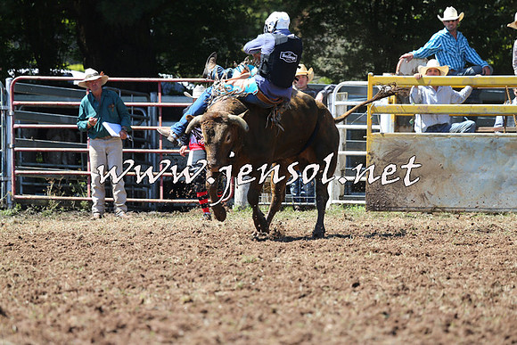 Taralga2015_2065