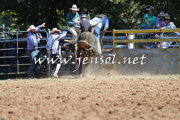 Taralga2015_4690