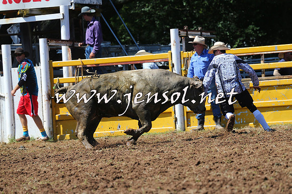 Taralga2015_2042