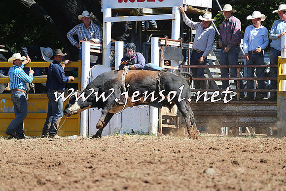 Taralga2015_4720