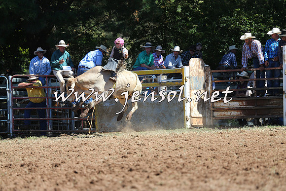 Taralga2015_4788