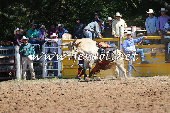 Taralga2015_4561