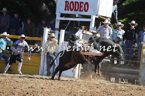 Taralga2015_5411