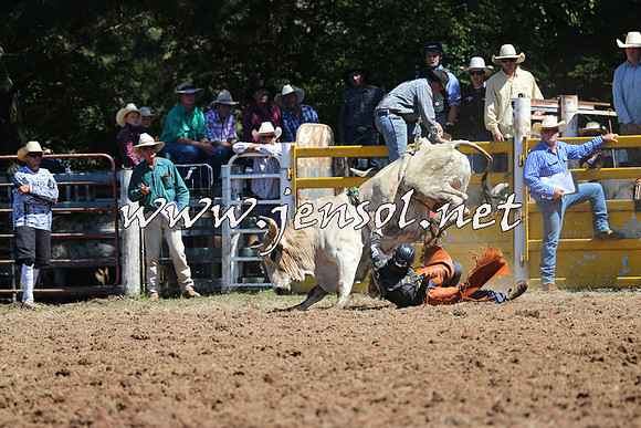 Taralga2015_4559