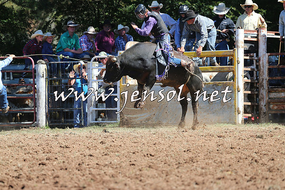 Taralga2015_4564