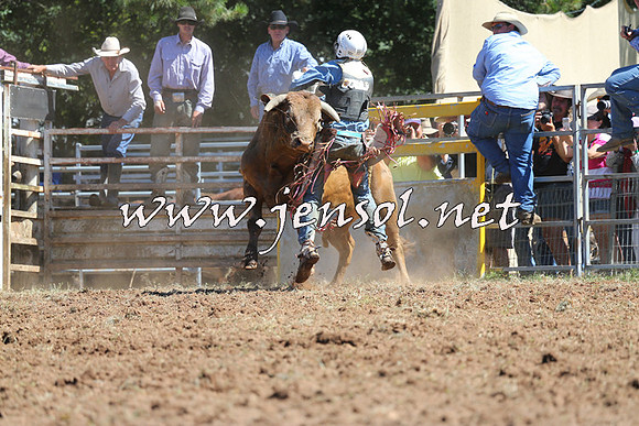 Taralga2015_4664