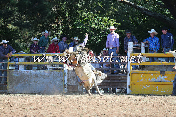 Taralga2015_5335