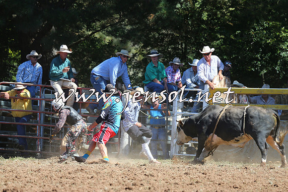 Taralga2015_4819