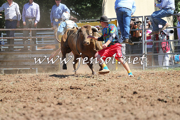 Taralga2015_4661