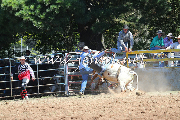 Taralga2015_4603