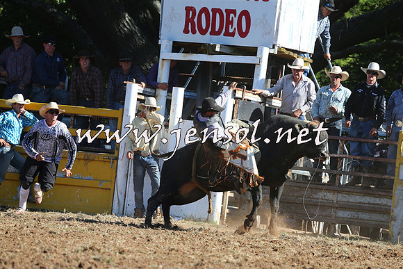 Taralga2015_5407