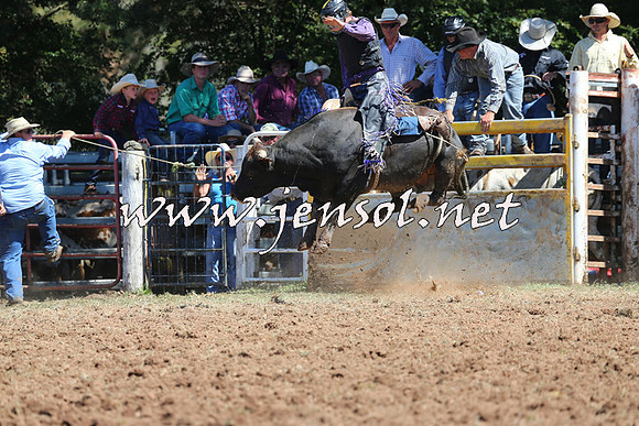 Taralga2015_4570