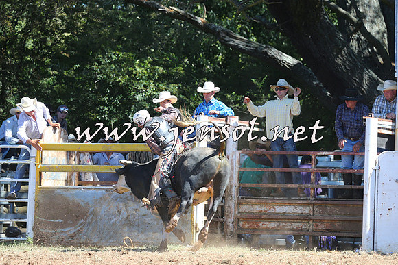 Taralga2015_4806