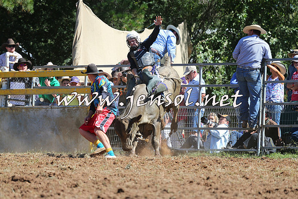 Taralga2015_4730