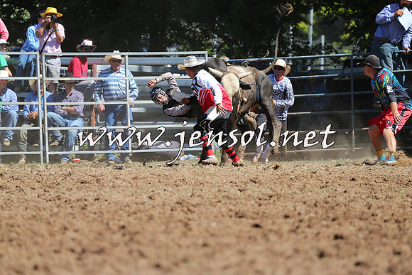 Taralga2015_4705