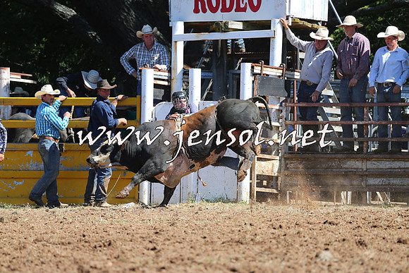Taralga2015_4719