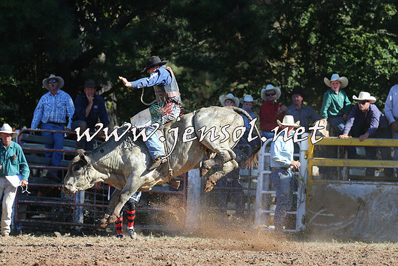 Taralga2015_5362