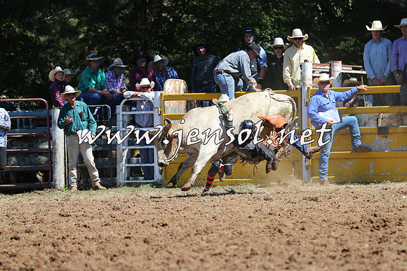 Taralga2015_4558
