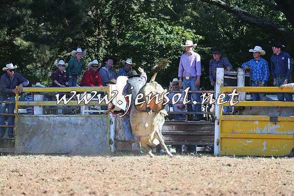Taralga2015_5333