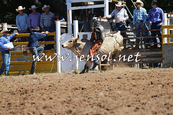 Taralga2015_4544