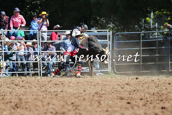 Taralga2015_4693