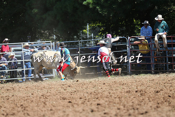 Taralga2015_4802
