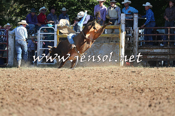 Taralga2015_5301