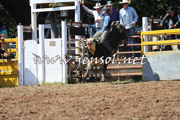 Taralga2015_1924