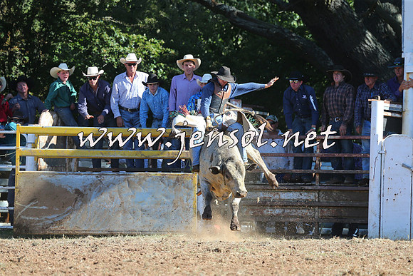Taralga2015_5348