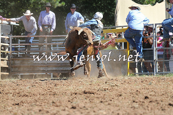 Taralga2015_4665