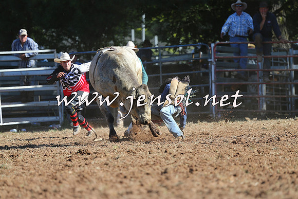 Taralga2015_5386