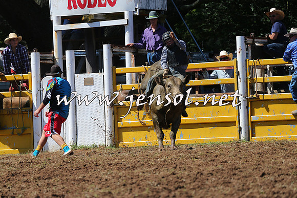 Taralga2015_2024