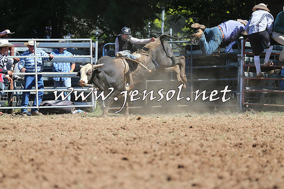 Taralga2015_4698