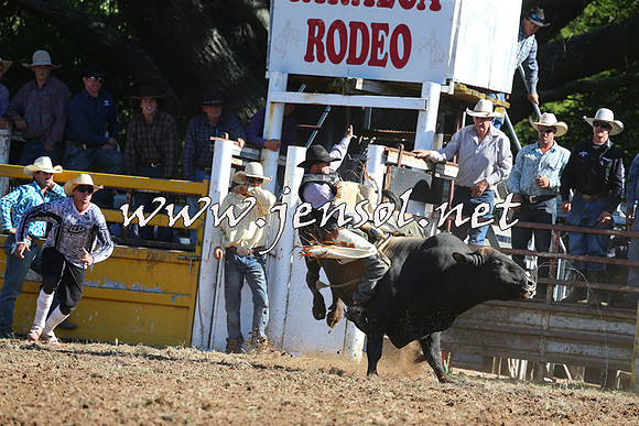 Taralga2015_5409